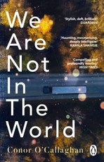 We Are Not in the World