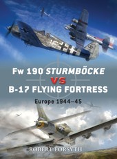 Fw 190 Sturmböcke vs B-17 Flying Fortress