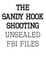 The Sandy Hook Shooting