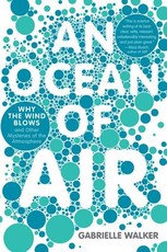 An Ocean of Air