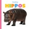 Baby Hippos