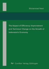 The Impact of Efficiency Improvement and Technical Change on The Growth of Indonesia’s Economy