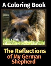 The Reflections of My German Shepherd