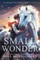 Small Wonder
