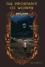 The Importance of Wonder