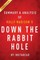 Summary of Down the Rabbit Hole