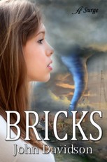 Bricks