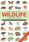 Wildlife of Southern Africa