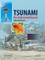 Tsunami