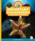 Important Echinoderms