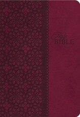 Study Bible-KJV