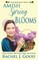 Amish Spring Blooms