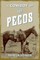 A Cowboy of the Pecos