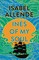 Ines of My Soul