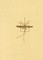 The Tears of the Heliads / Slezi Geliad