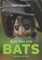 Australian Bats