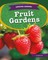 Fruit Gardens