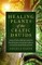 Healing Plants of the Celtic Druids