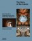 The Story of the Interior