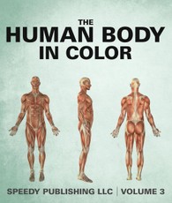 The Human Body In Color Volume 3