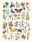 Botanical Embroidered Sketchbook