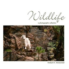 Wildlife