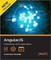 AngularJS: Maintaining Web Applications