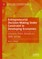 Entrepreneurial Decision-Making Under Constraint in Developing Economies