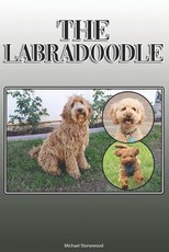 The Labradoodle