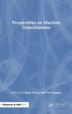 Perspectives on Machine Consciousness
