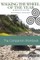 Walking The Wheel of The Year Companion Workbook