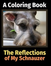 The Reflections of My Schnauzer