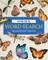 Mega Word Search