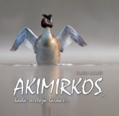 Akimirkos, kada sustoja laikas