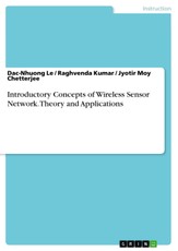 Introductory Concepts of Wireless Sensor Network. Theory and Applications