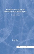 Rehabilitation of Visual Disorders After Brain Injury