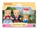 SYLVANIAN FAMILIES Sausaininių meškučių šeimynėlė