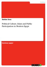 Political Culture, Islam and Public Participation in Modern Egypt