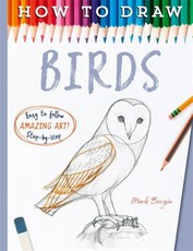 How to Draw Birds