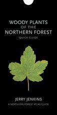 Woody Plants of the Northern Forest