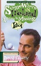 Somewhere in Ireland, A Village is Missing an Idiot