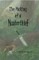 Making of a Masterthief