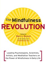 The Mindfulness Revolution