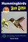 Hummingbirds For Kids