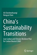 China's Sustainability Transitions