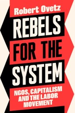 Rebels for the System