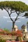 The Amalfi Coast