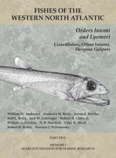 Order Iniomi and Lyomeri