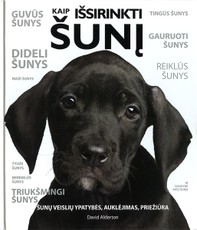 Kaip išsirinkti šunį