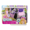 BARBIE Čelsės ir ponio rinkinys (HTK29)